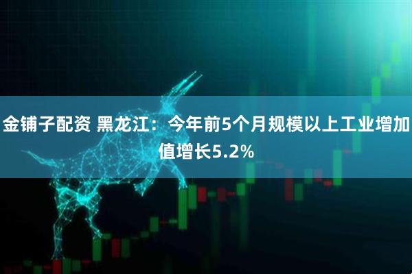 金铺子配资 黑龙江：今年前5个月规模以上工业增加值增长5.2%
