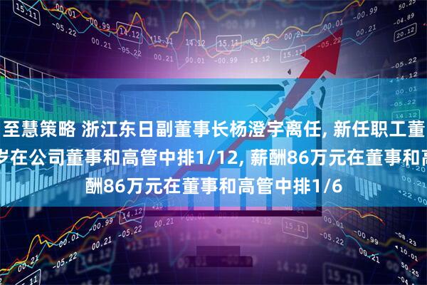 至慧策略 浙江东日副董事长杨澄宇离任, 新任职工董事, 年龄58岁在公司董事和高管中排1/12, 薪酬86万元在董事和高管中排1/6